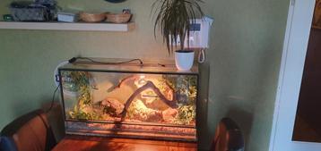Terrarium beschikbaar voor biedingen