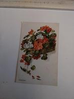 GERANIUMS.  "BASKET OF FLOWERS" .L.Pressland, Ophalen of Verzenden, Voor 1920, Sterren en Beroemdheden