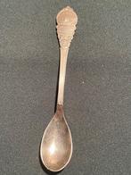 Sola watersnoodramp lepeltje, Ophalen of Verzenden