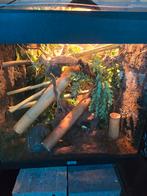 Terrarium, Dieren en Toebehoren, Reptielen en Amfibieën | Toebehoren, Ophalen of Verzenden, Zo goed als nieuw