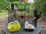 Hamsterkooi, Kooi, Zo goed als nieuw, Ophalen, Minder dan 60 cm