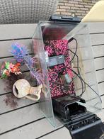 aquarium met filterpompje, Dieren en Toebehoren, Ophalen, Gebruikt, Leeg aquarium