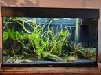 Juwel Rio 125 Led aquarium, Dieren en Toebehoren, Ophalen, Gevuld zoetwateraquarium