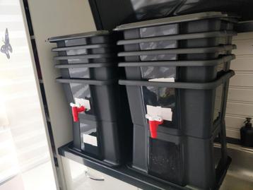 Wormenbak ideaal om te starten en bijdrage aan de Natuur  beschikbaar voor biedingen