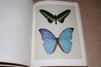 Exotische vlinders in kleurrijke natuurfoto's. Falterschönh, Boeken, Dieren en Huisdieren, Ophalen of Verzenden, Gelezen, Overige diersoorten