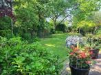 Tuinman Hovenier in de Provincie Utrecht, Diensten en Vakmensen, Tuinmannen en Stratenmakers