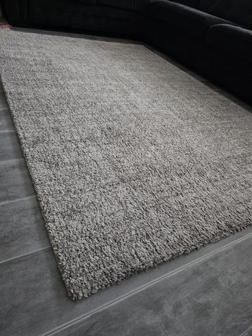 Prachtige Tapijt/Vloerkleed Zacht Wollig 160x230 | Z.G.A.N  beschikbaar voor biedingen