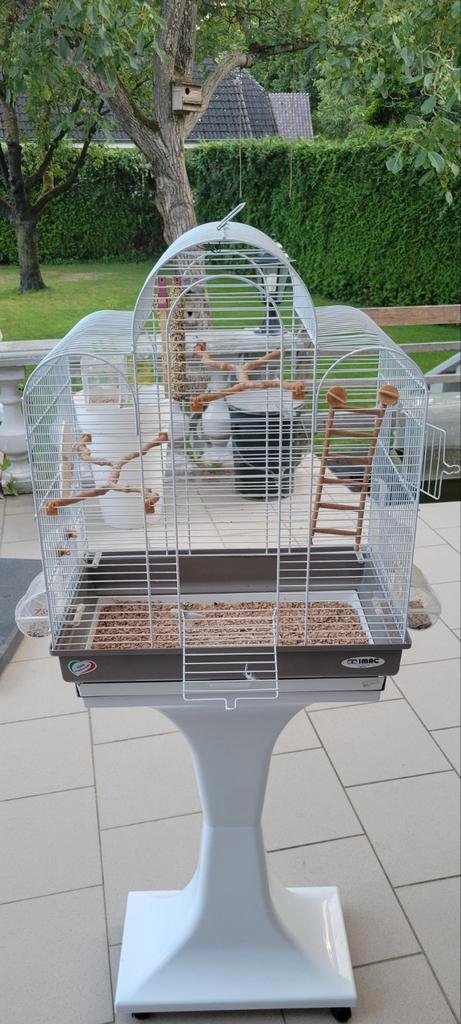 Vogelkooi imac - op standaard, Dieren en Toebehoren, Vogels | Hokken en Kooien, Zo goed als nieuw, Vogelkooi, Metaal, Ophalen