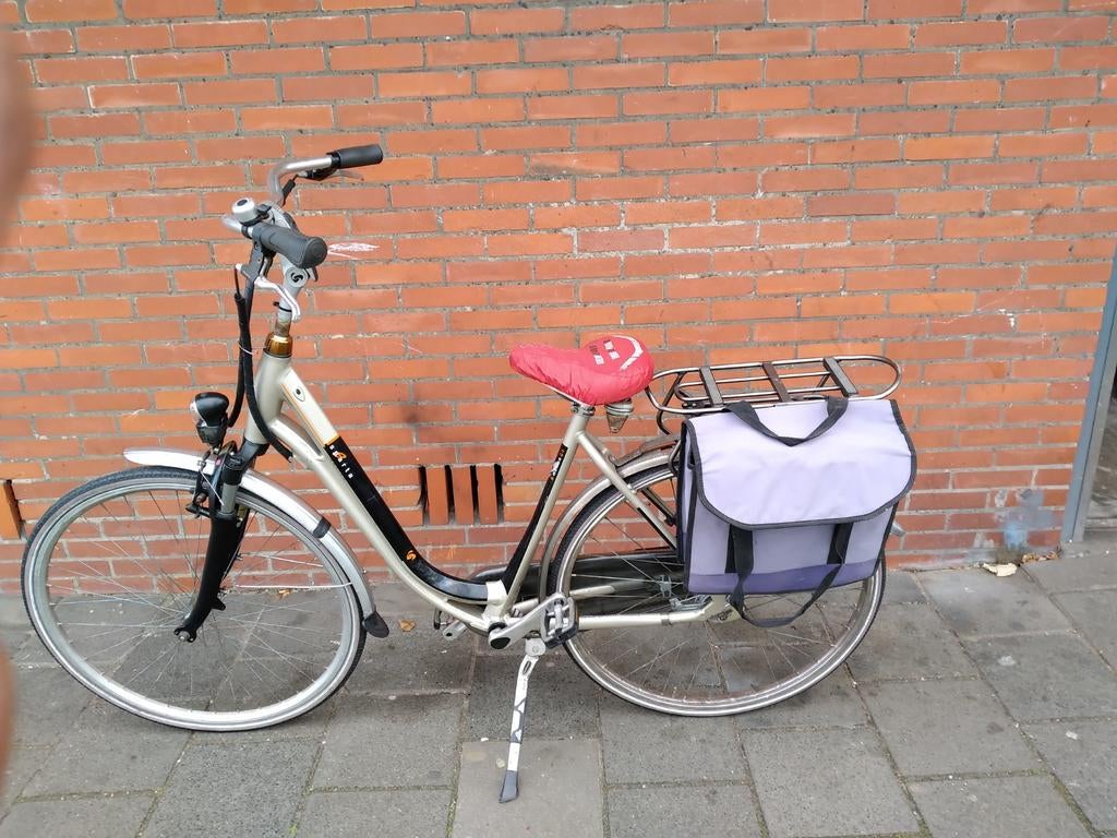 Dames en heren fiets, Fietsen en Brommers, Elektrische fietsen, Ophalen