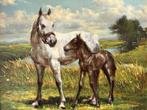 JW van Trirum, merrie met veulen, Ophalen