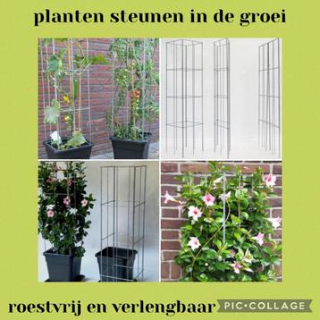 Plantensteun voor clematis jasmijn tomaten druiven klimop