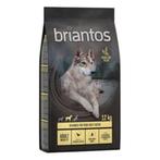 Briantos Adult Mobility Kip & Aardappel - Graanvrij 12KG, Dieren en Toebehoren, Ophalen, Hond