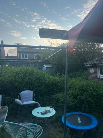 Gezocht Geiten die ik kan huren die mijn bamboe op eten beschikbaar voor biedingen