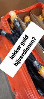 Thuiswerk bijverdienste, Starter, Overige vormen, LBO / VMBO, Geschikt als bijbaan