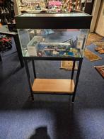 Aquarium, Dieren en Toebehoren, Ophalen, Gebruikt, Plant(en), Steen of Hout