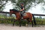 Sportieve e pony !, Dieren en Toebehoren, Pony's, B, 3 tot 6 jaar, Gechipt, Recreatiepony