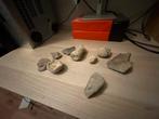 Fossielen, sponsen, stalactiet & dino kaak!, Verzamelen, Mineralen en Fossielen, Ophalen, Fossiel
