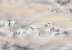 Kraanvogel behang Fulfillness, vogel, vlies, Muurdeco4kids, Verzenden, 10 tot 25 m², Vogel, kraanvogel