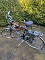 Gazelle Grenoble, 61cm, heren. Excl fietstas evt overname., Ophalen, Gebruikt, Versnellingen, 57 tot 61 cm