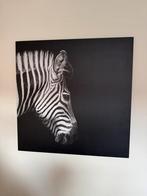 Zebra schilderij, Huis en Inrichting, Ophalen, Minder dan 50 cm, Zo goed als nieuw, Schilderij