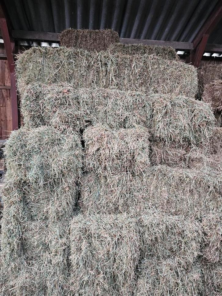 Hooi, kleine baaltjes hooi.., Dieren en Toebehoren, Dierenvoeding, Ophalen of Verzenden