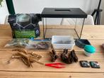 Startersset terrarium isopods, tropische pissebedden, Dieren en Toebehoren, Ophalen, Zo goed als nieuw, Leeg aquarium