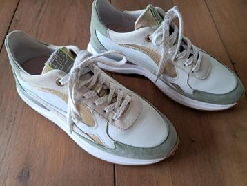 Sneakers schoenen Floris van Bommel Maat :40 wit / Lichtgroe beschikbaar voor biedingen