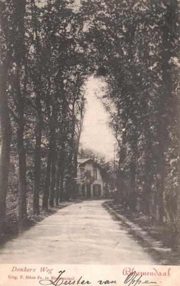 Donkere Weg, Bloemendaal (1903) 127830 beschikbaar voor biedingen