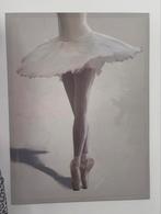 Canvas ballerina schilderij, Antiek en Kunst, Ophalen