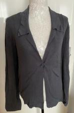 Didi vest maat XXL, Kleding | Dames, Ophalen of Verzenden, Zo goed als nieuw, Grijs, Trui of Vest