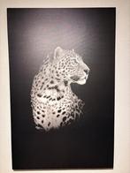 The black panter 115 x 75 cm in nieuwstaat, Ophalen of Verzenden, Zo goed als nieuw, Schilderij, 75 cm of meer