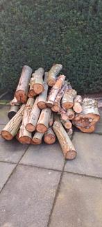 Te koop: Openhaard hout, Minder dan 3 m³, Ophalen, Berkenhout, Stammen
