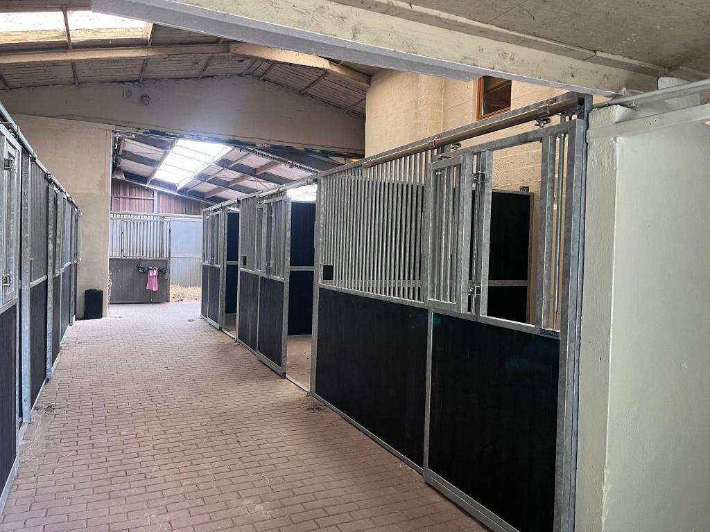 Paardenboxen, paardenstallen, stallen, voorwanden, Weidegang, 4 paarden of pony's of meer
