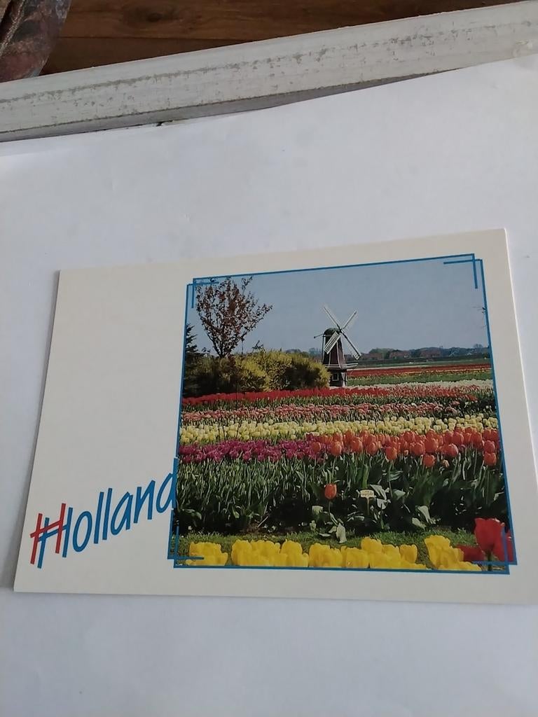 HOLLAND.  MOLEN BIJ  VELD TULPEN, Ophalen of Verzenden
