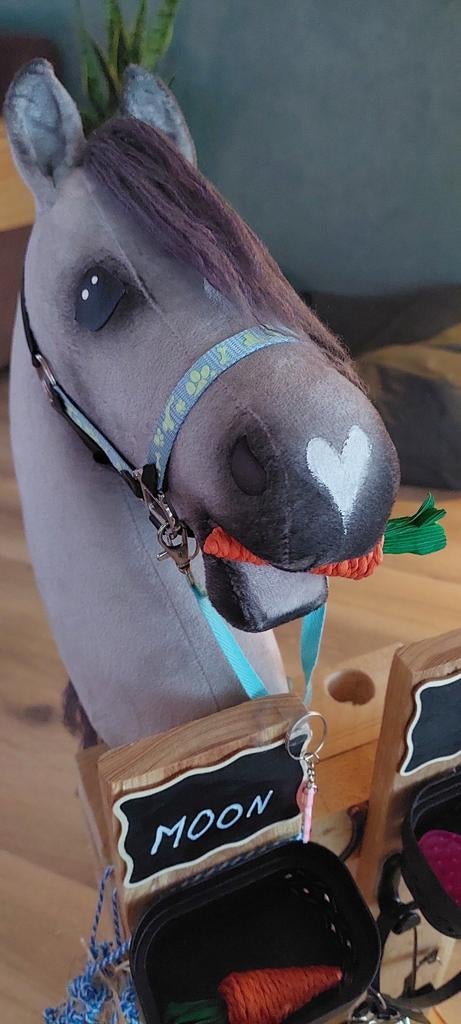 Hobbyhorse Moon met hoofdstel en halster, Ophalen of Verzenden, Nieuw, Jongen of Meisje