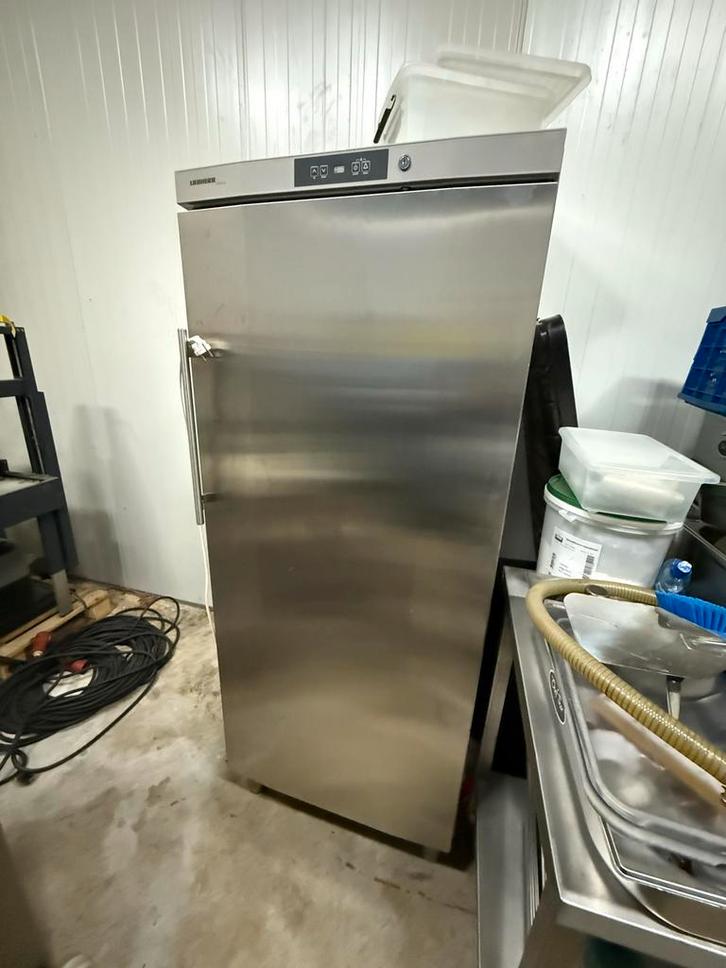 Horeca Koelkast en Vriezer, Zakelijke goederen, Horeca | Keukenapparatuur, Koelen en Vriezen, Gebruikt, Ophalen