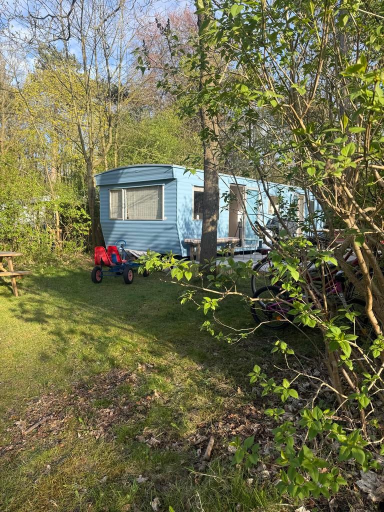 Sfeervolle caravan Bakkum (bosrand, 4 pers)
