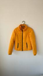 Claudia Sträter Jasje - Geel, Maat S, Ophalen of Verzenden, Zo goed als nieuw, Maat 36 (S), Geel