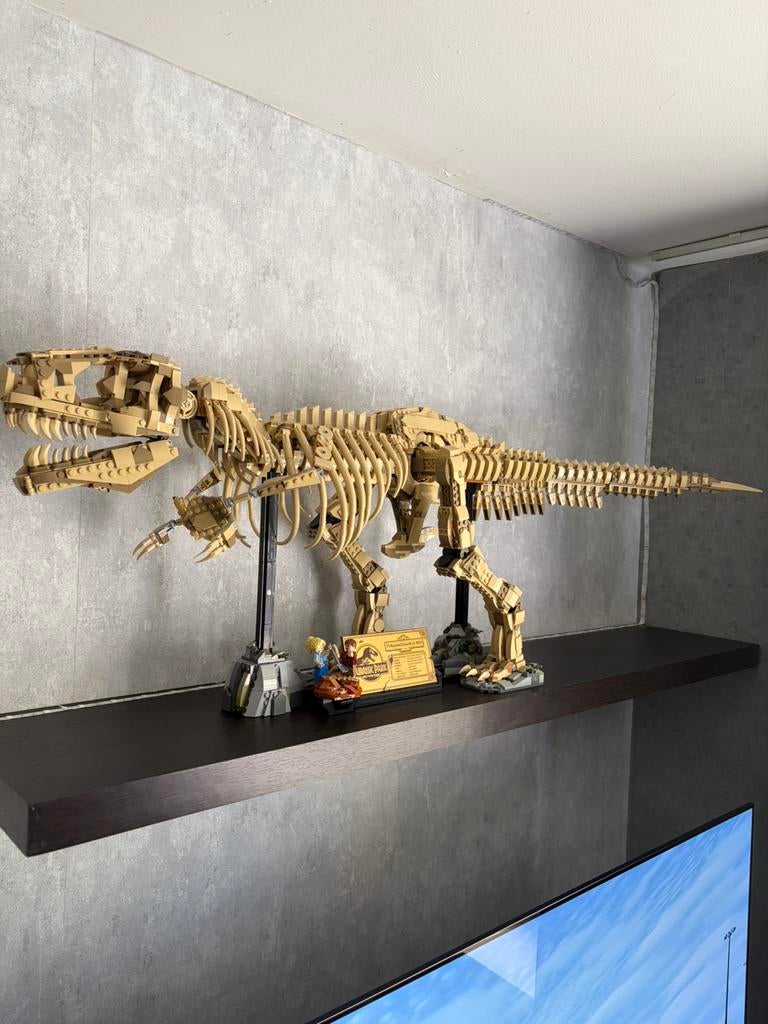 Lego T-rex skelet, Kinderen en Baby's, Speelgoed | Duplo en Lego, Ophalen