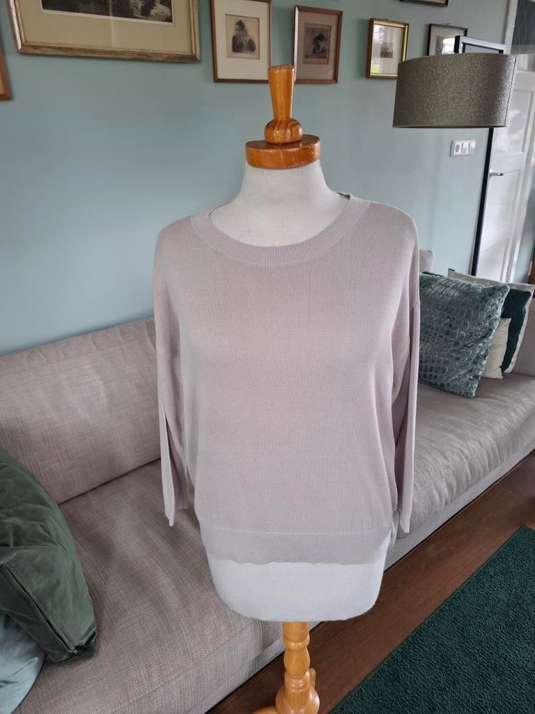 Truitje van Zusss maat s, Maat 38/40 (M), Ophalen of Verzenden, Zo goed als nieuw, Grijs