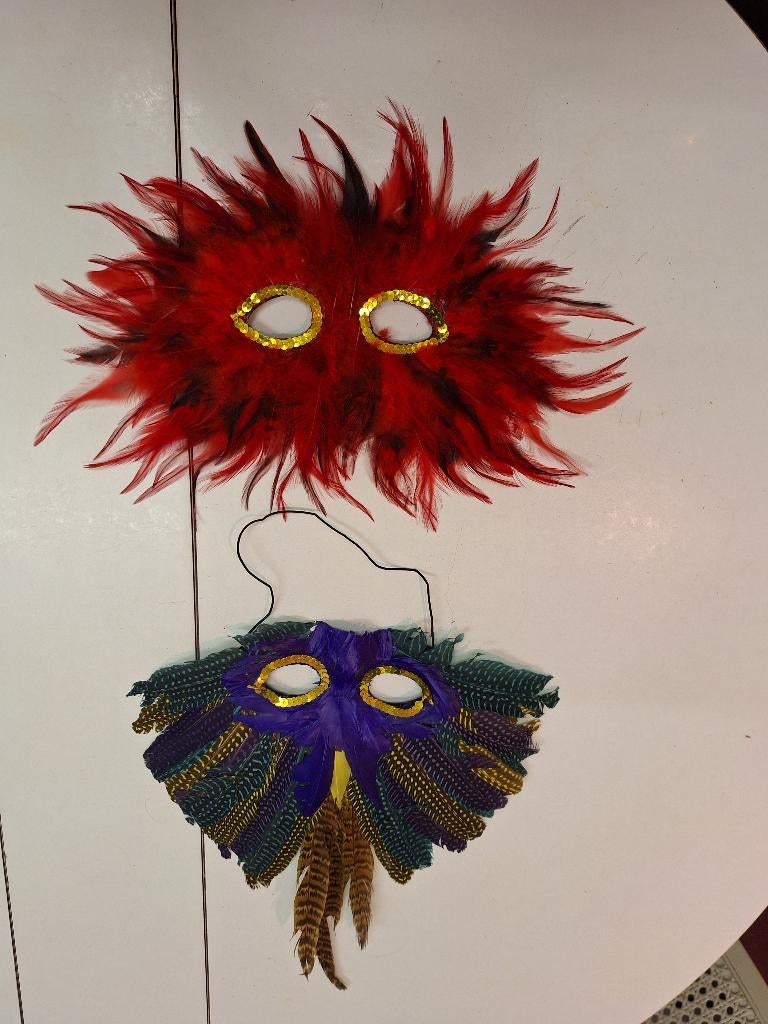 2 carnaval maskers met pluimen, Huis en Inrichting, Woonaccessoires | Overige, Ophalen of Verzenden, Nieuw, Overige materialen