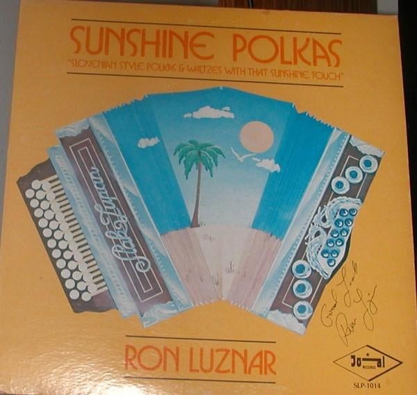 Lp's Instrumentaal gezocht, zie foto's, Ophalen of Verzenden, Zo goed als nieuw, Overige formaten, Levenslied of Smartlap