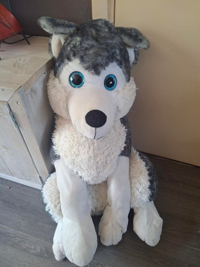Grote knuffelhond (husky) met blauwe ogen, Gebruikt, Grijs, Groot (groter dan 80 cm), Hond