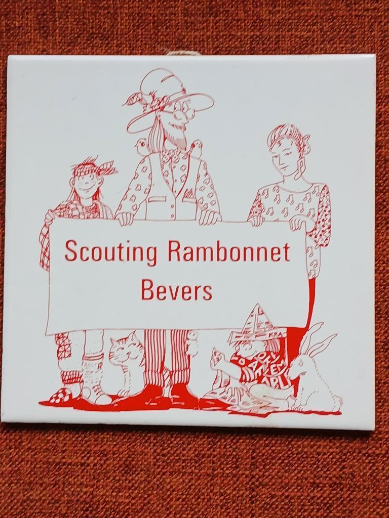 Tegel Scouting, Ophalen of Verzenden, Zo goed als nieuw, Overige typen