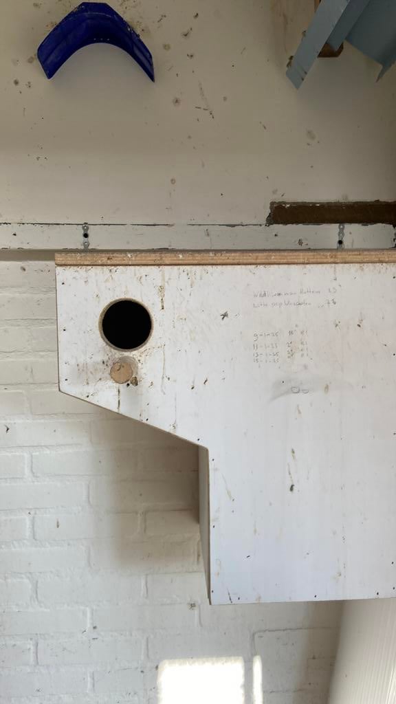 Broed blokken voor grote parkieten, Dieren en Toebehoren, Ophalen, Gebruikt, Hout