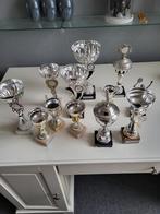 Diverse sportbekers - Ideaal voor prijzen of decoratie, Ophalen, Gebruikt, Overige sporten, Overige typen
