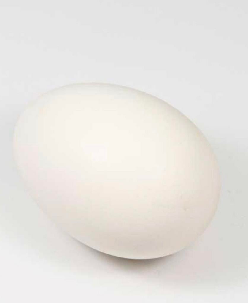 Ganzen eieren, Diversen, Levensmiddelen, Ophalen