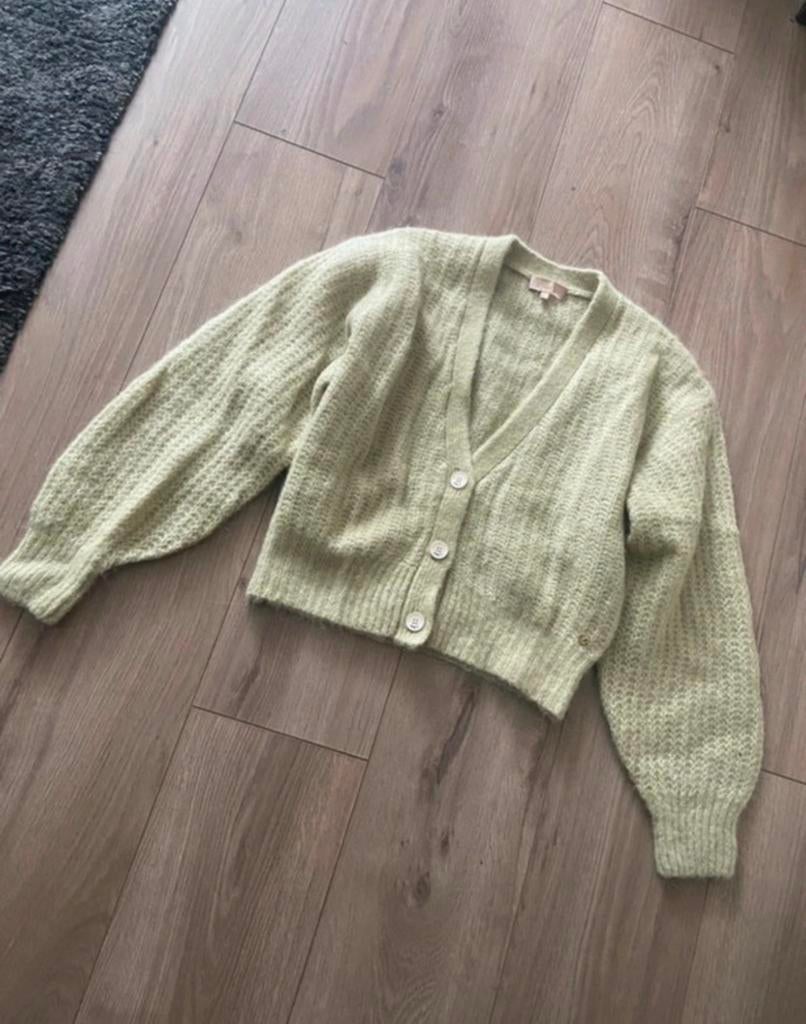 Josh V Harly vest, Verzenden, Nieuw, Maat 34 (XS) of kleiner, Groen