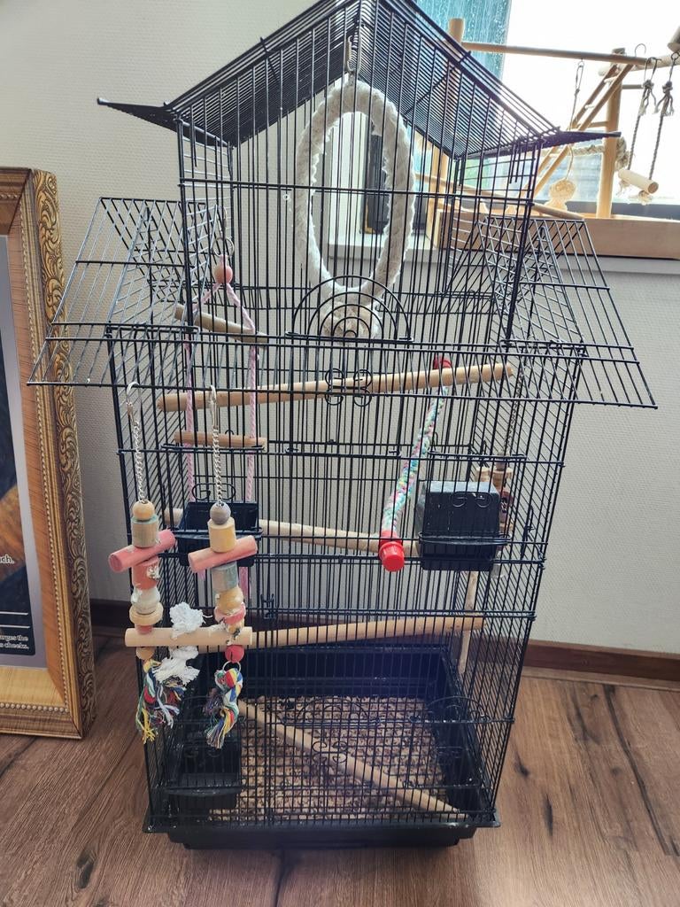 Vogelkooi met accesoires en speelplaats, Ophalen, Gebruikt, Metaal, Vogelkooi