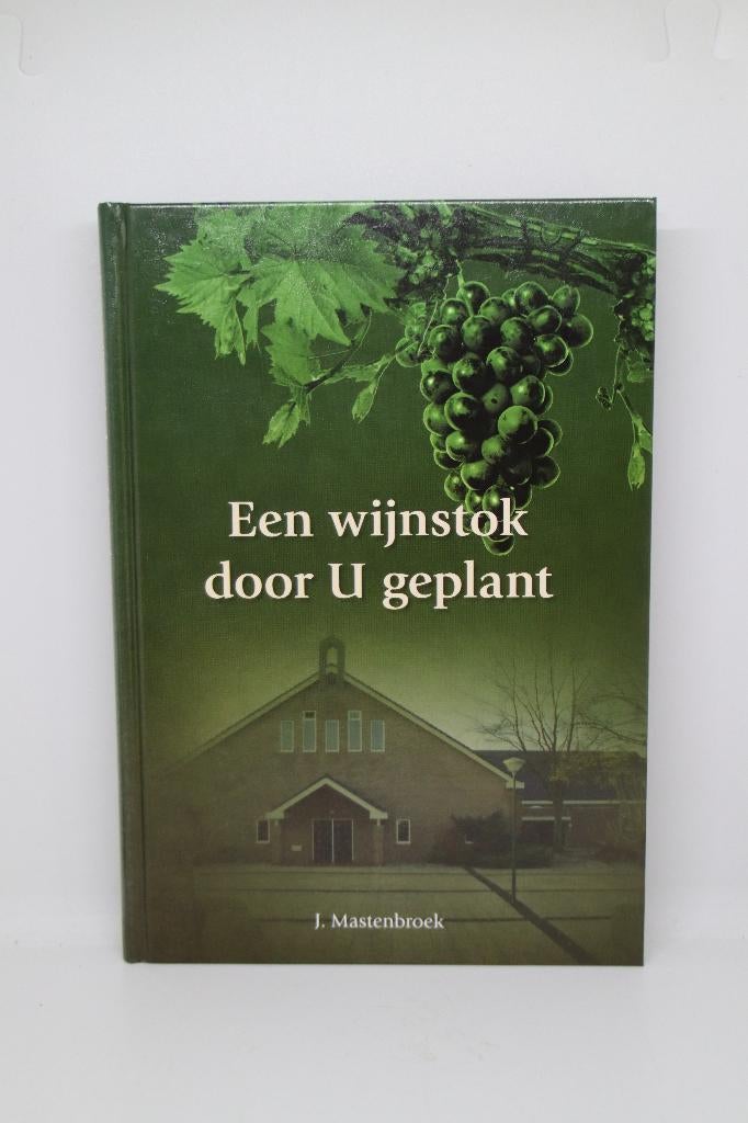 Een wijnstok door U geplant - J. Mastenbroek, Boeken, Ophalen of Verzenden, Zo goed als nieuw